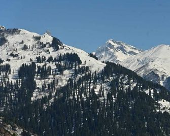 Nomadic Den Manali - Manali - Dış görünüm