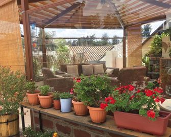 هوستل كويتو تيراس - كويتو - شرفة مرصوفة