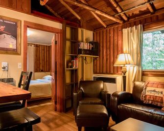 Cozy Packwood Ski Cabin Near White Pass And Mt Rainier - Packwood - Living room