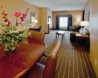 Holiday Inn Express & Suites Suffolk By IHG - Suffolk - Huiskamer