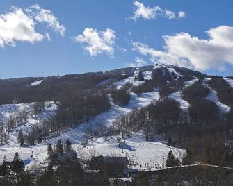 Spacious cozy bedroom with pvt. full bath. Walking distance to Mt Snow ski lifts - Dover - Gebäude