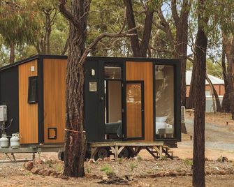 Kiara By Tiny Away - Stawell