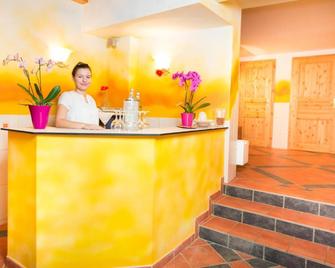 Landhotel Fernblick - Rossbach - Front desk