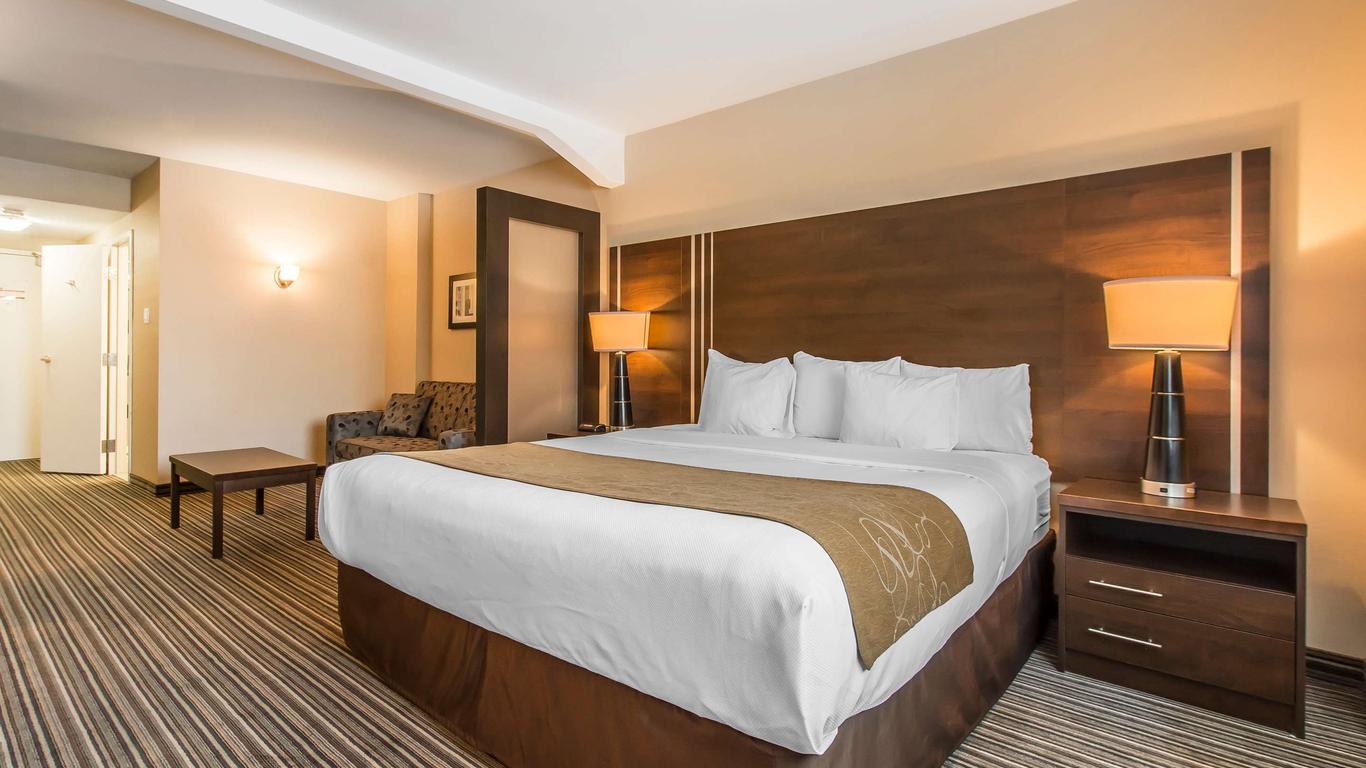 Comfort Suites Downtown