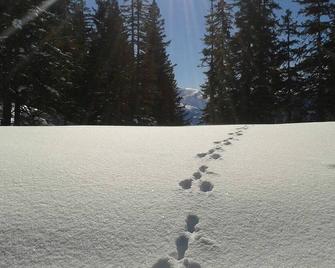 Rauriser Jungle Family Studio - Hotel Alpina - Rauris - Зручності