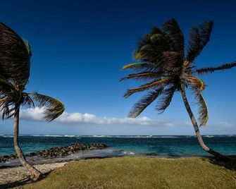 Nelson Spring Finest Beach Front Condo - Charlestown - Playa