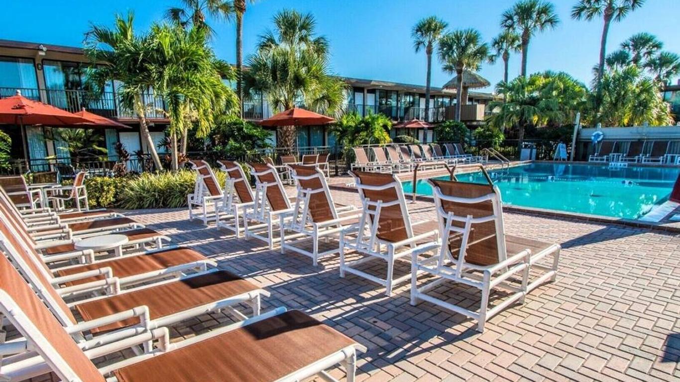 Magic Tree Resort