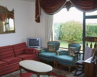 An Dooneen, the Hurley Farm B&B - Ballydavid - Sala de estar