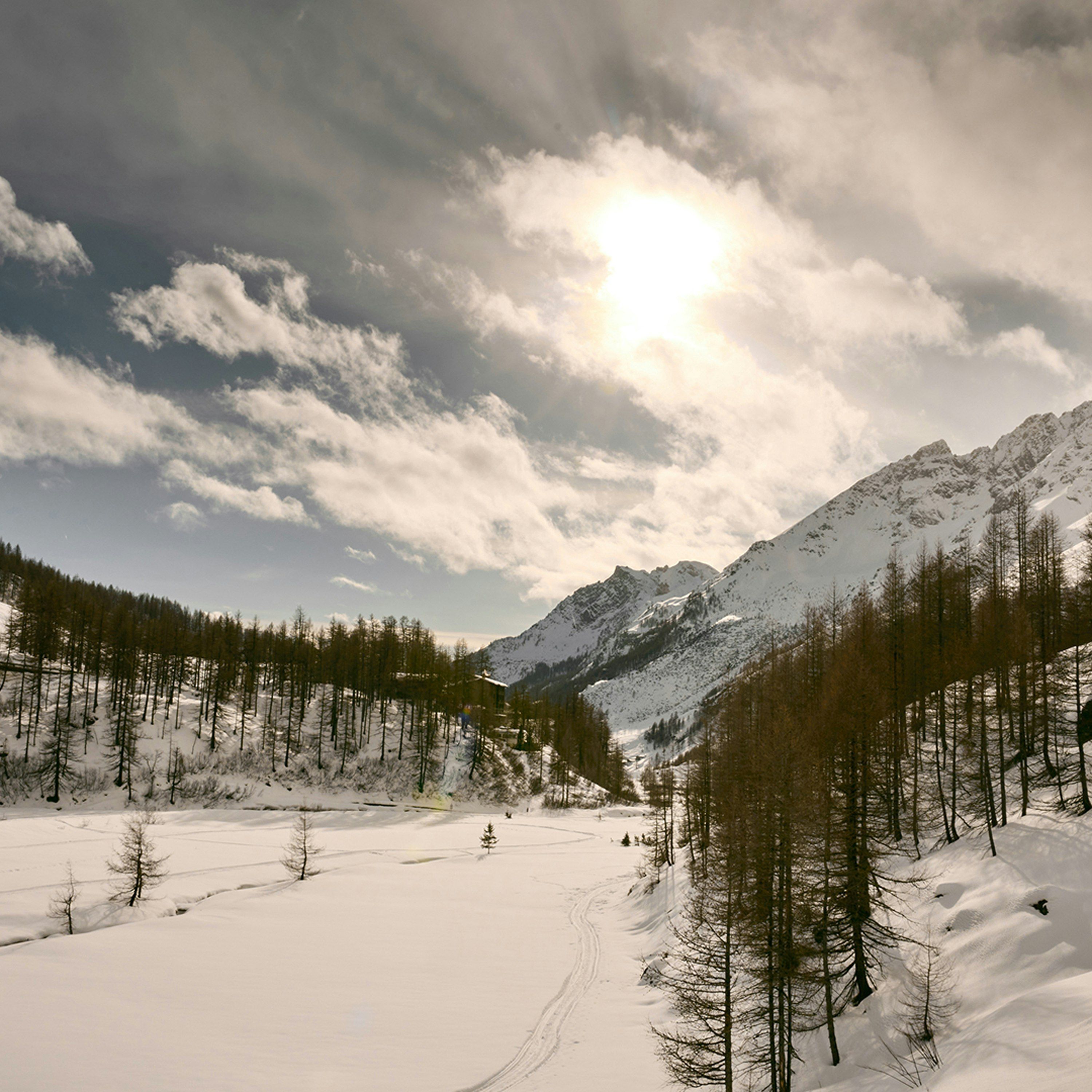 تسيرفينو - فريترياز، آ ٕي راي إتش كولكشن - برويل - كيرفينيا - مبنى