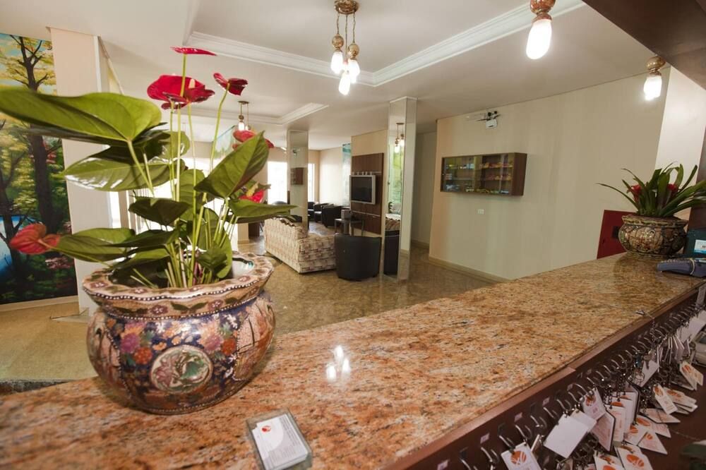 Hotel Oly Plaza - Piracicaba - Recepção