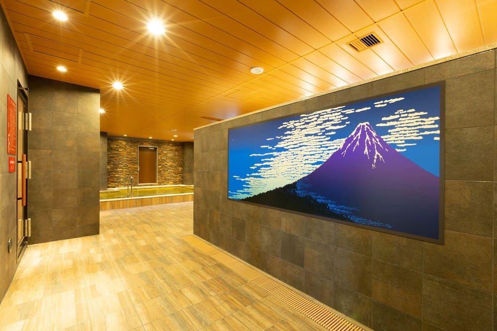 Hot Spring Osaka Hinode Hotel Nipponbashi - Osaka