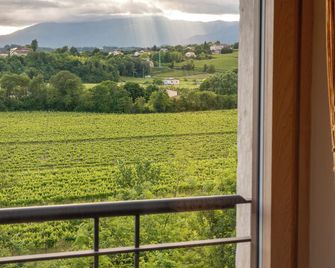 Tenuta Malvolti - Al Vecchio Convento - San Fior - Balcone