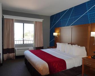 Comfort Suites Bush Intercontinental Airport - Houston - Bedroom