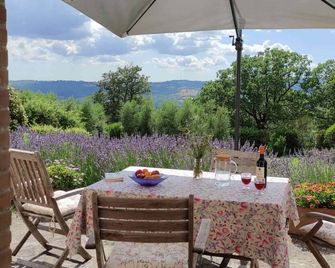 Capitorio: quiet rural spot, aromatic garden, great views - Roccalbegna - Patio