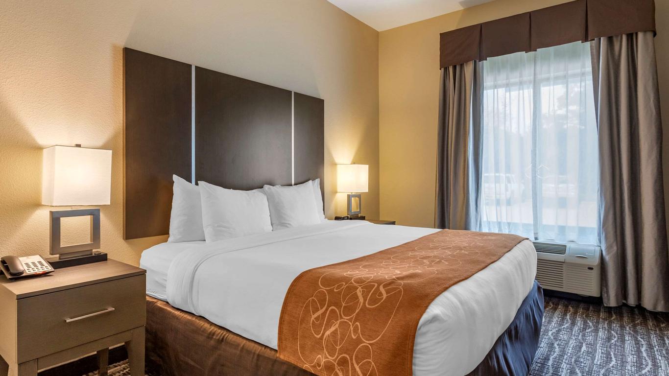 Comfort Suites Near Sam Houston Race Park