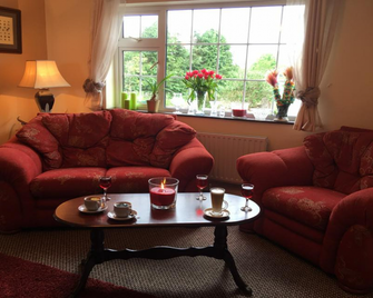 The Wilderness - Clifden - Living room