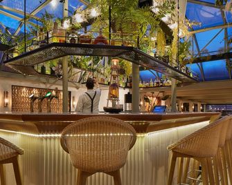 Villa Duflot Hôtel & Spa Perpignan - פרפיניאן - בר