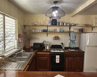 The Coral Casa - Caye Caulker - Kitchen