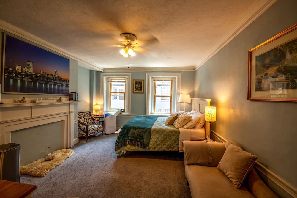 Gorgeous Beacon Hills Studio next to State house - בוסטון - סלון