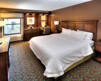 Hampton Inn Terre Haute - Terre Haute - Habitación