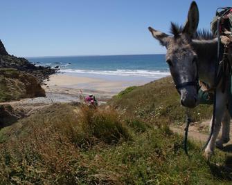 Les chambres de Kerael - Crozon