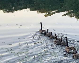 Pocono Lakefront Mountain Home.Do NOT make any requests until messaging us first - White Haven