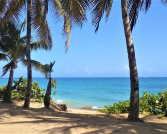 Spacious & Beautiful Beach House, Steps From The Ocean! - San Juan - Beach