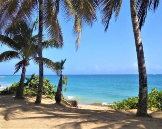 Spacious & Beautiful Beach House, Steps From The Ocean! - San Juan - Playa