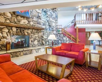 Econo Lodge Inn & Suites - Stevens Point - Oleskelutila