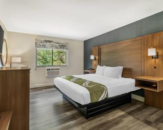 Quality Inn Chesapeake - Chesapeake - Phòng ngủ