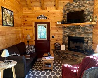 Woodland Cabin Rental near High Bridge Trail State Park in Prince Edward County, Virginia - Farmville - Wohnzimmer