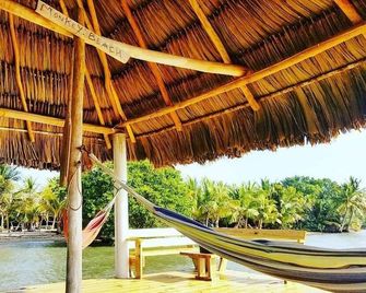 Beachfront surrounded by lush natural jungle. Snorkle from shore manatee watch - Monkey River Town - Patio