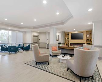 كومفرت سويتس - فالدوستا - ردهة