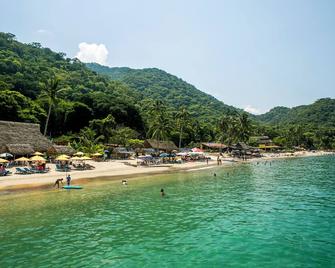 Panchos Paradise Cabaña Parota - Pto Vallarta - Playa