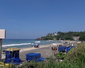 Green Palm Resort - Kovalam - Παραλία