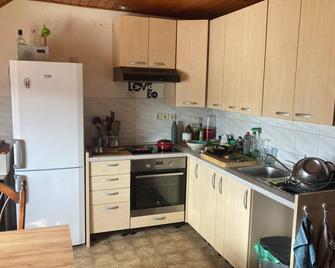 Alt i et - Slovenien, som du Aldrig har Prøvet det før - Kranj - Kitchen