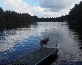 Suwannee River Cabin - 24 Private Wooded Acres- 500' Waterfront-Dock-Dogs Atv Ok - Branford