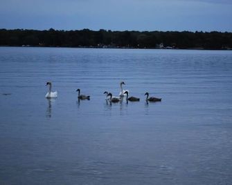 Beautiful Bass Lake in Pentwater - Pentwater