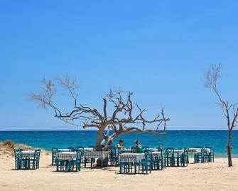 2 Bedroom Garden & Sea View Apartment | Glaronissi Beach - Naxos - Playa