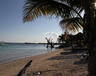 Luxury Beach Condo with views of Caribbean Sea in heart of Mahahual - Costa Maya - Majahual - Playa