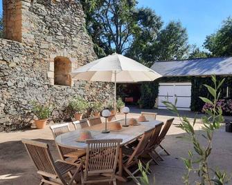 Old castle in large private park with swimming pool - Bellevigne-en-Layon - Patio