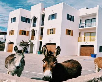 Raaswater Self Catering - Langebaan - Edificio