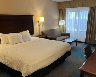 Days Inn by Wyndham Duluth Lakewalk - Duluth - Soveværelse