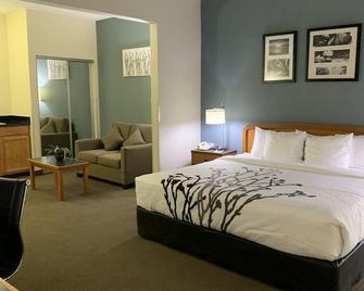 Sleep Inn and Suites Davenport - Quad Cities - Davenport - Bedroom
