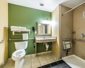 Sleep Inn & Suites University/Shands - Gainesville - Bathroom
