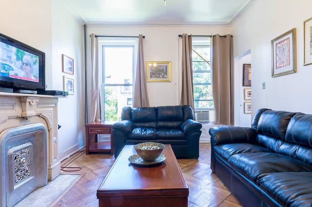 1 1/2 bedroom apartment just 4 minutes drive to Barclays Center Brooklyn - Brooklyn - Stue