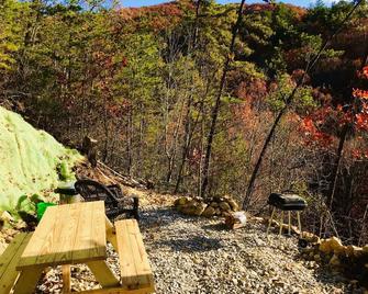Cozy, absolutely secluded Mountain Cabin,Pet Friendly,spectacular Views,hiking - Newport - Outdoors view