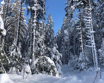Schwarzwaldblick - Sankt Georgen im Schwarzwald - Extérieur