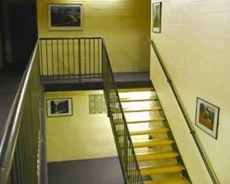 Launceston Backpackers - Launceston - Trappor