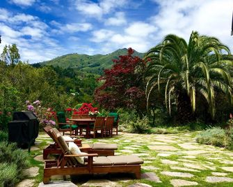 Mill Valley Nature Cottage. Sunny. Serene. Romantic Getaway. Hikers/Bikers Dream - Mill Valley - Patio